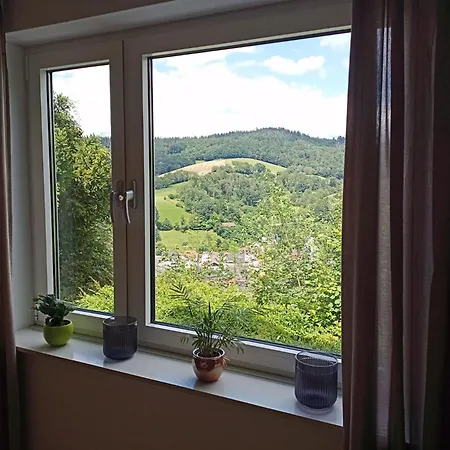 Tor Zum Odenwald Διαμέρισμα