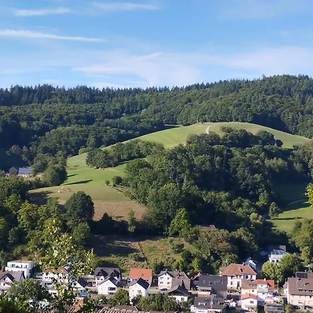 Apartment Tor Zum Odenwald