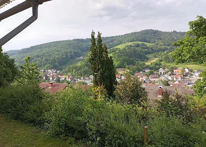 Tor Zum Odenwald