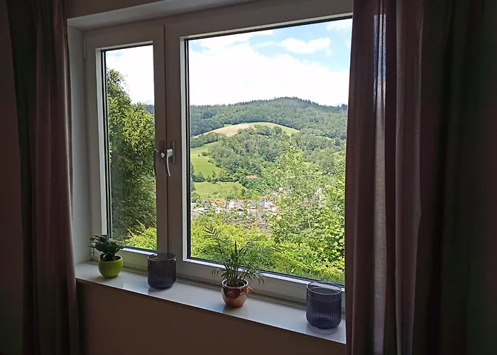 Tor Zum Odenwald דירה