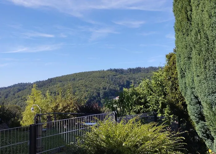 Apartment Tor Zum Odenwald