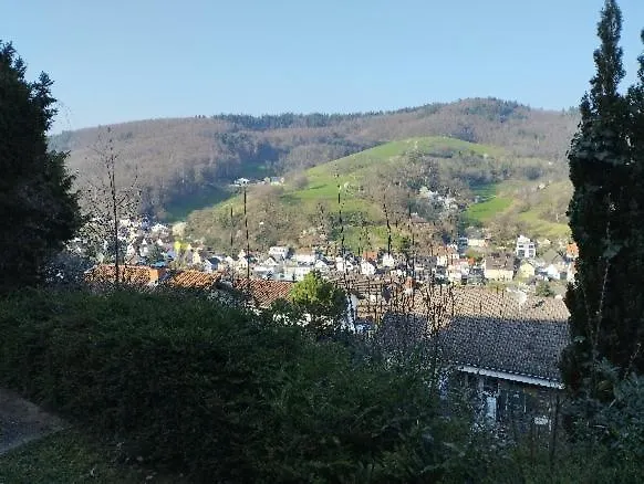 Tor Zum Odenwald *